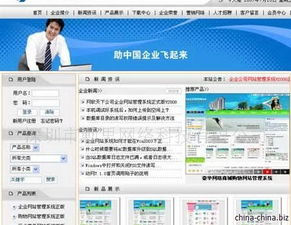 專業(yè)軟件開發(fā)服務(wù)與知識產(chǎn)權(quán)保護(hù)